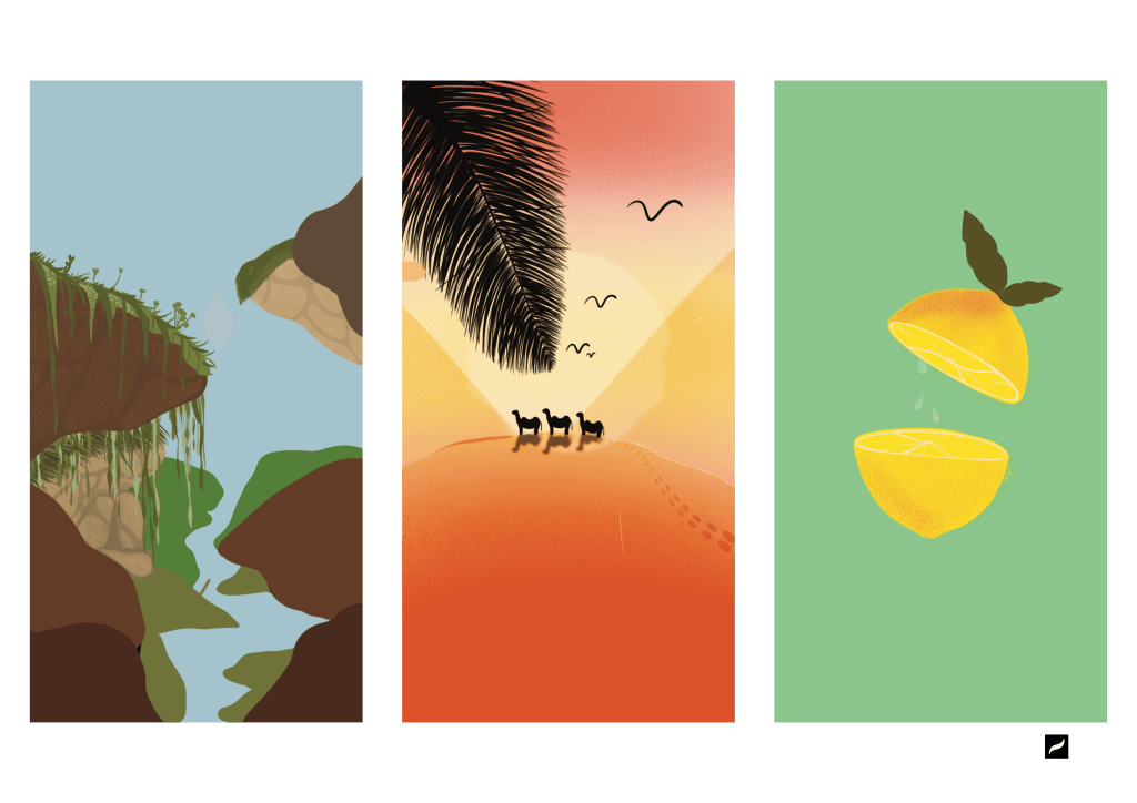 Illustrations Procreate